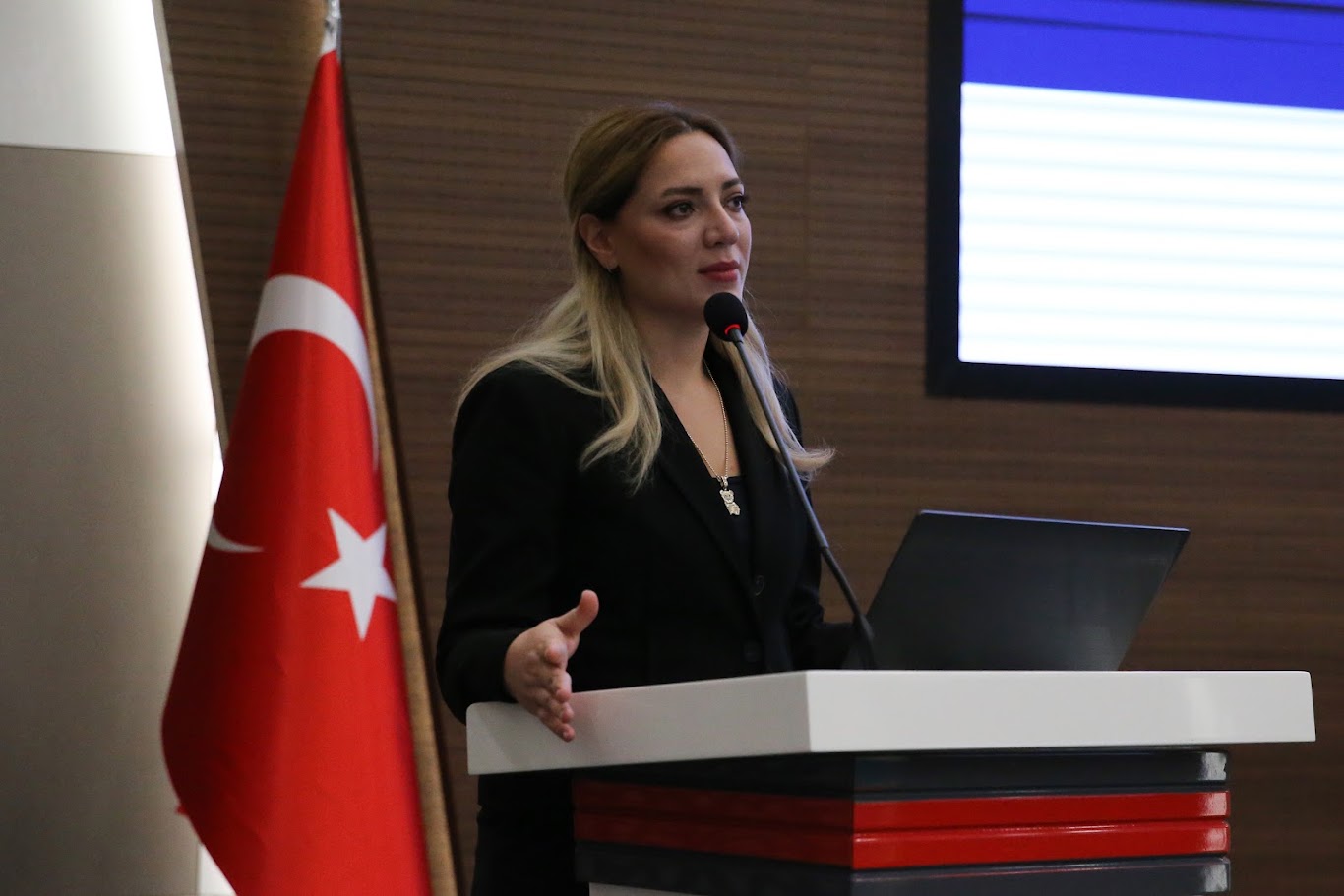 Nilsu ERKANLI